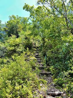 熊野古道 大辺路付近 熊野古道 大辺路付近 の写真