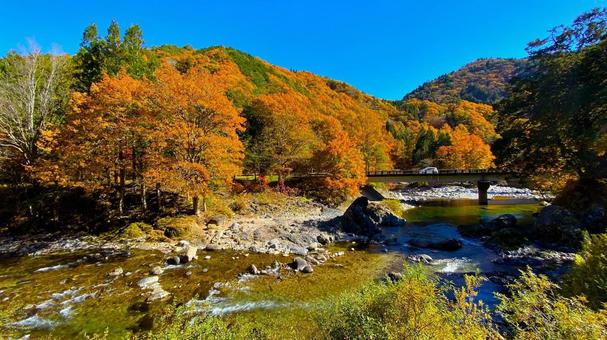 紅葉のせせらぎ街道 紅葉,せせらぎ街道,秋の写真素材