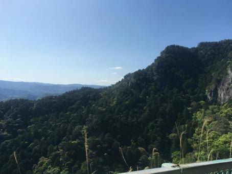 Photo, horaijiyama, new city, aichi prefecture, 