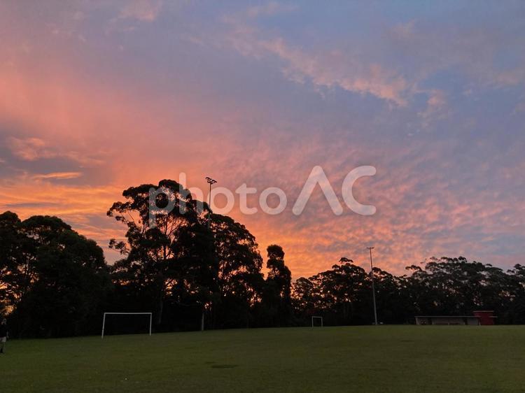 公園の夕焼け オーストラリア,夕焼け,オレンジの写真素材