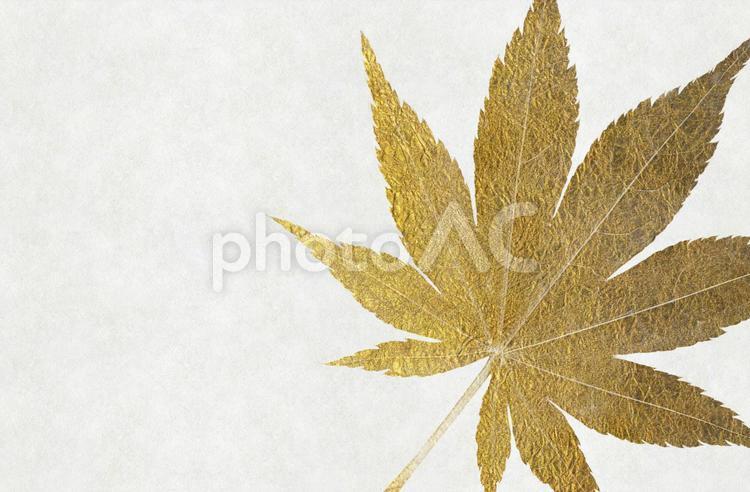 白色の和紙に金色の紅葉の背景画像 和風,背景,秋の写真素材