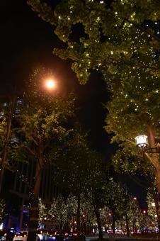 御堂筋イルミネーション 御堂筋,イルミネーション,夜景の写真素材