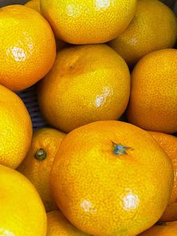 箱入り有田みかん１４ みかん,有田,和歌山県の写真素材