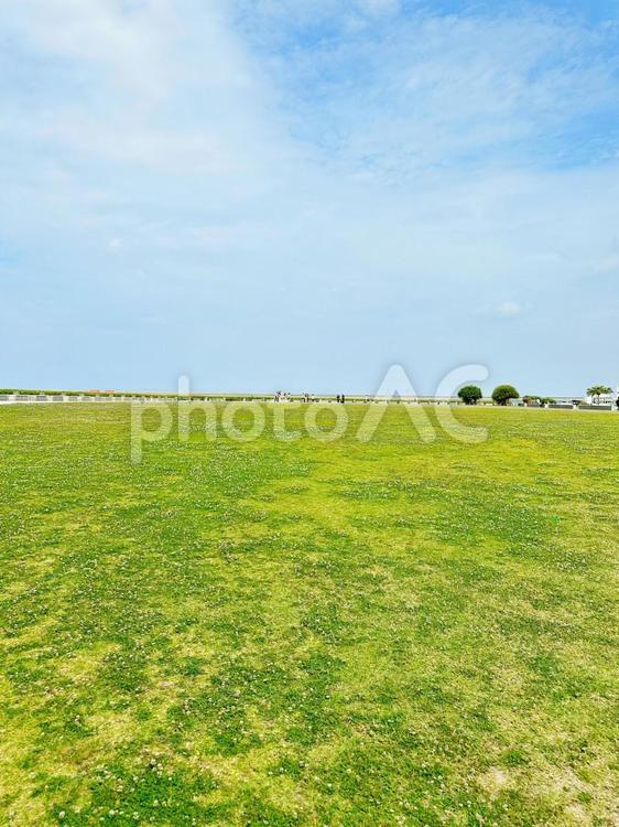 草原と晴れ 風景,草,空の写真素材