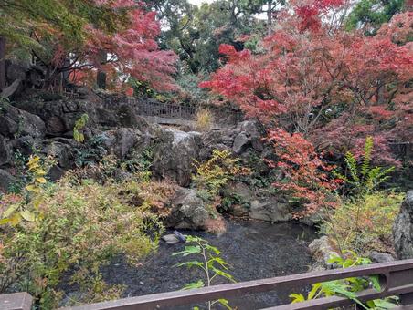 紅葉と池 紅葉,もみじ,自然の写真素材