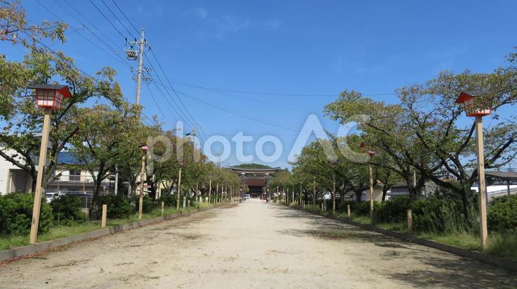国府宮神社　参道 尾張大國霊神社,尾張大国霊神社,国府宮神社の写真素材