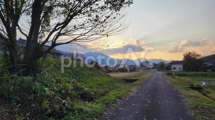 夕暮れの田舎道 夕暮れ,田舎道,住宅街の写真素材