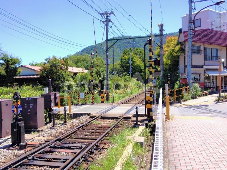 小さい踏切 踏切,ふみきり,ふみ切りの写真素材