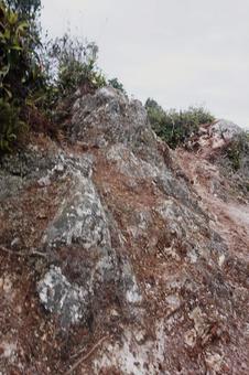 岩 岩の写真