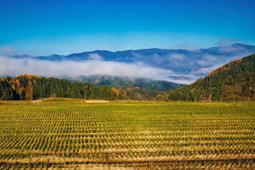 青空と紅葉を映す秋の日本風景 日本,秋,田んぼの写真素材