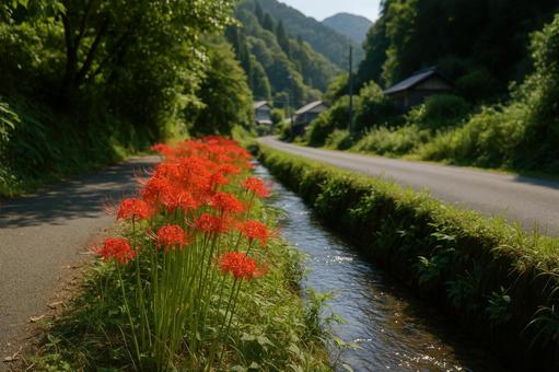 山里の道端に咲く彼岸花と小川 山里の道端に咲く彼岸花と小川の写真