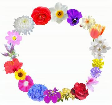 花の円形フレーム　PSD 花,フレーム,季節の写真素材