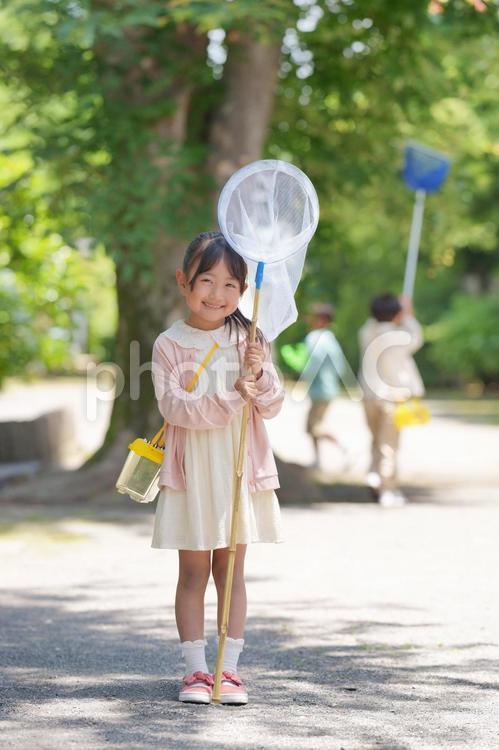 虫取り網を持って笑顔の女の子 女の子,小学生,虫取りの写真素材