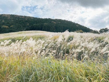 Idyllic rural scenery, JPG
