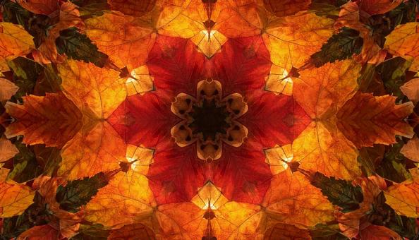 赤と橙の紅葉万華鏡 赤と橙の紅葉万華鏡の写真