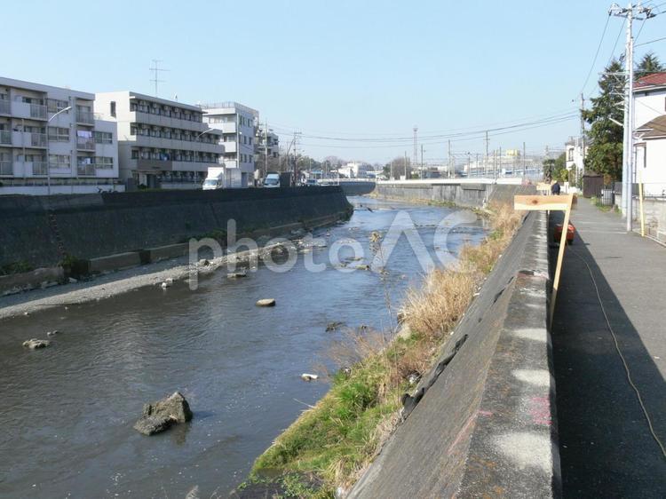 横浜市栄区・柏尾川を上流方面に見る 川,河川,水の写真素材