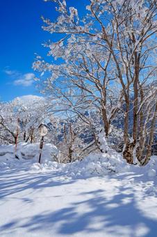 250320秋山郷清水川原、結東 250320秋山郷清水川原、結東の写真