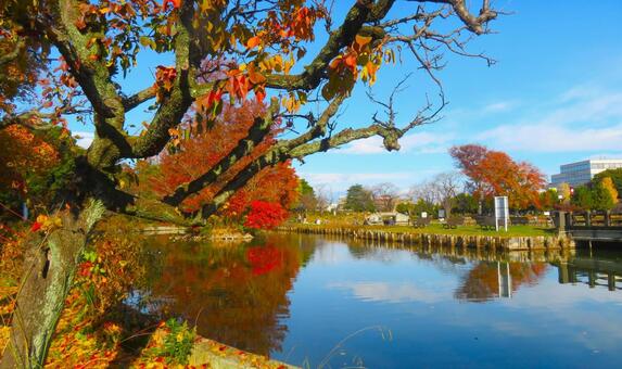 水辺の紅葉 秋,風景,反射の写真素材