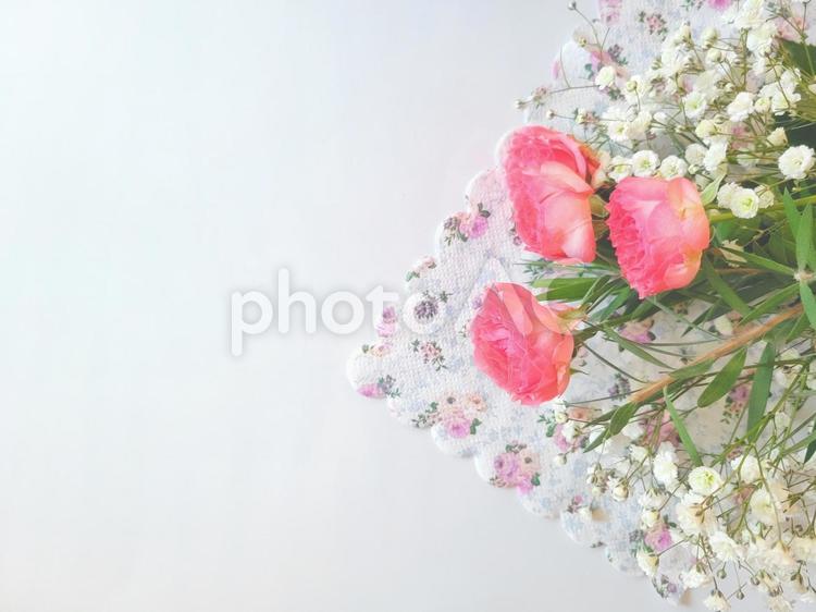 ピンクのバラとかすみ草 花束,バラ,かすみ草の写真素材