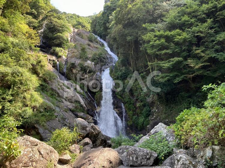 佐賀・見返りの滝 見返りの滝,滝,滝百選の写真素材