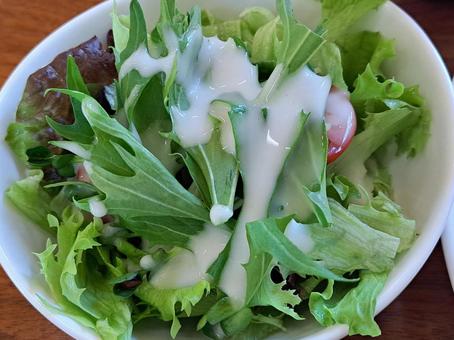 サラダ１ 野菜,サラダ,シーザーサラダの写真素材