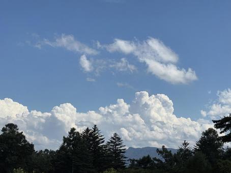 夏空 夏空の写真
