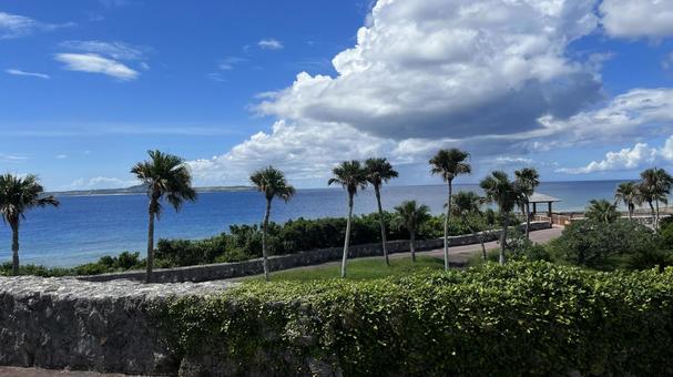 沖縄 沖縄,景色,自然の写真素材