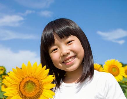 ひまわり畑と子供と青空 ひまわり畑と子供と青空の写真