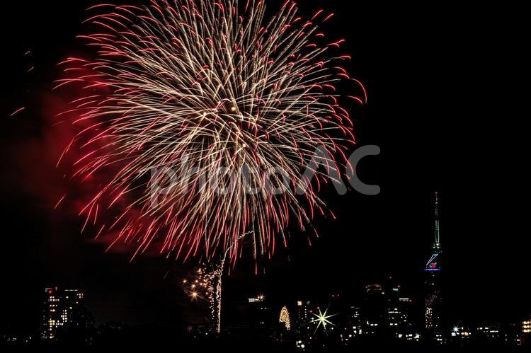 ビル街の夜景と大きな打ち上げ花火 花火,打ち上げ花火,打上花火の写真素材