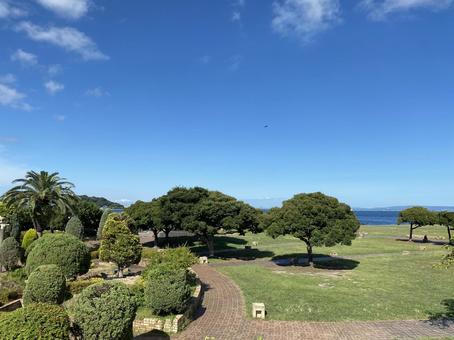 青空と木々 青空と木々 空,木,自然の写真素材