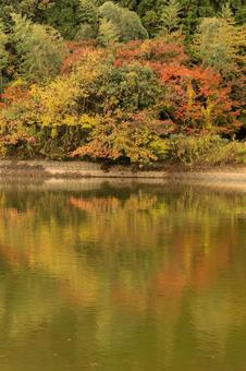 高滝駅 高滝湖,小湊鐵道,高滝駅の写真素材