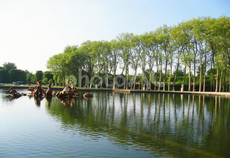 ヴェルサイユ宮殿の庭園 ヴェルサイユ宮殿,庭園,フランスの写真素材
