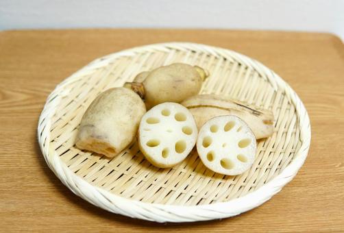れんこん(引き) れんこん(引き) れんこん,蓮根,野菜の写真素材