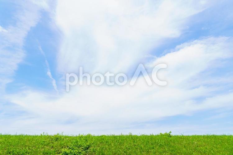 青空と新緑の草原 青空,草原,自然の写真素材