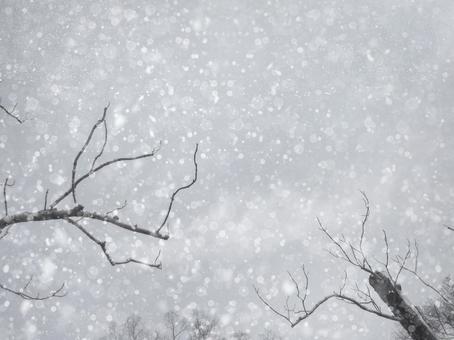 冬の景色  冬の景色  雪雲,冬景色,雪空の写真素材