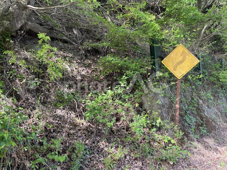 道路脇にある交通標識 標識,道路,交通ルールの写真素材