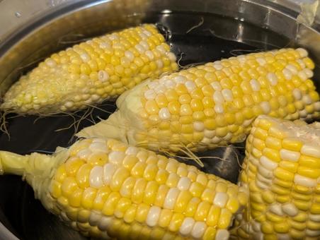 Photo, corn, sweet corn, peter corn, 