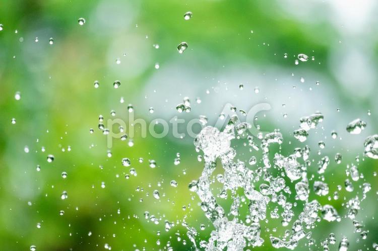 爽やかなグリーンと水しぶき 水しぶき,爽やか,飛沫の写真素材
