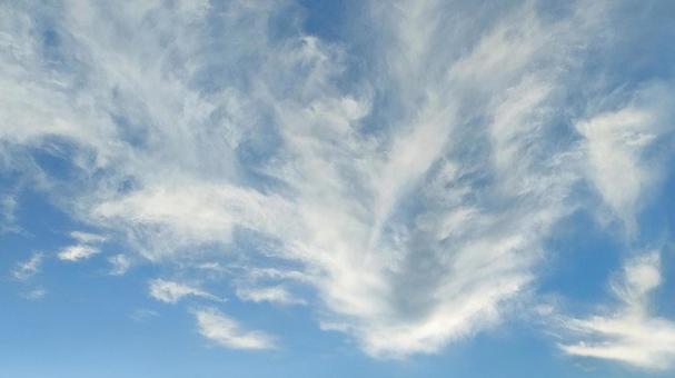 青空に舞う美しい雲の舞 青空に舞う美しい雲の舞 青空,雲,空の写真素材
