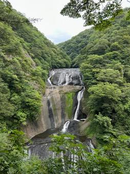袋田の滝 袋田の滝,滝,waterfallの写真素材