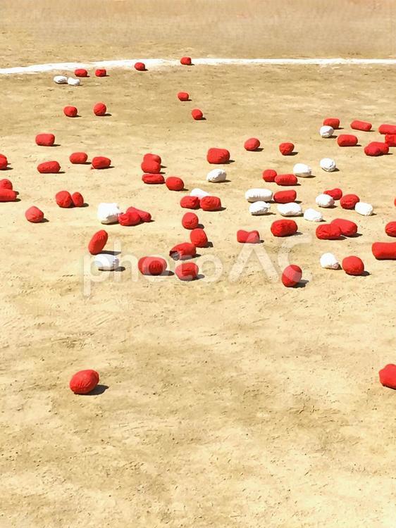 運動会　玉入れの玉 運動会,体育大会,体育祭の写真素材