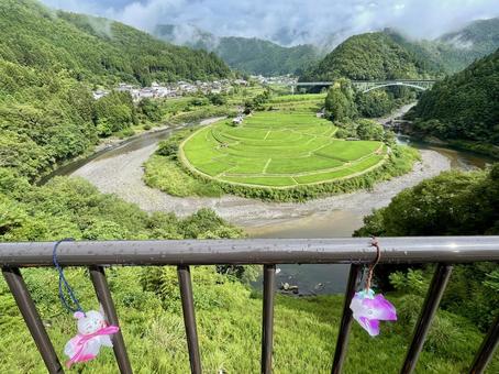 和歌山 あらぎ島 展望台から 2 和歌山 あらぎ島 展望台から 2 あらぎ島,棚田,田んぼの写真素材