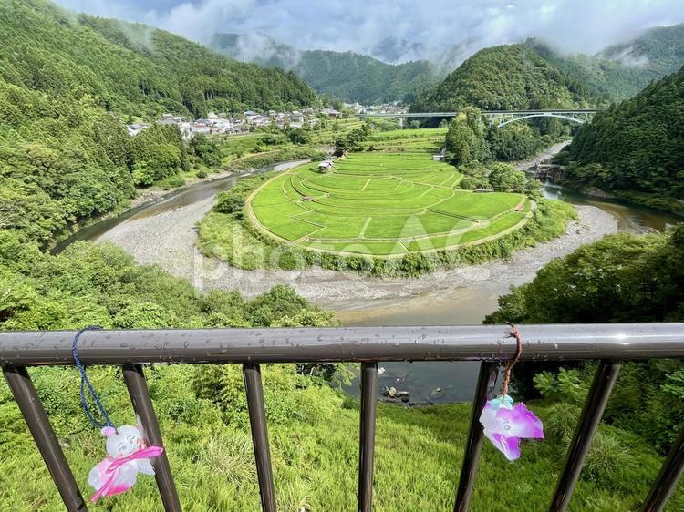 和歌山　あらぎ島　展望台から　2 あらぎ島,棚田,田んぼの写真素材