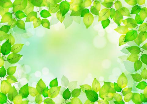 Leaf background / frame, JPG Leaf background / frame, frame, summer, leaf, JPG