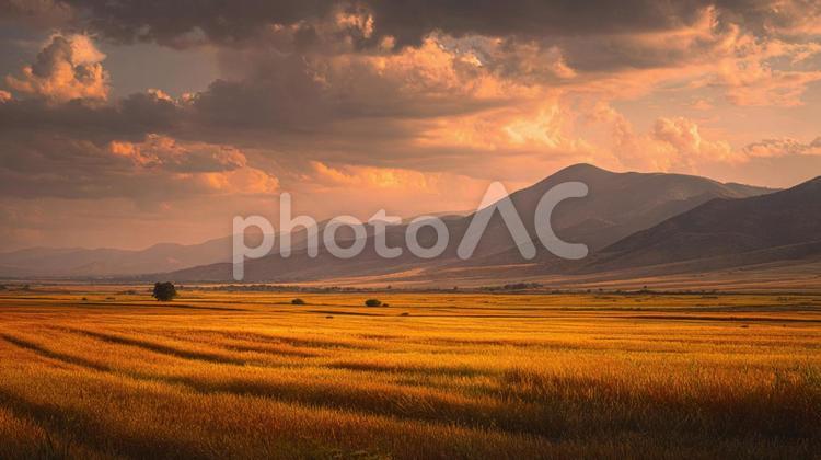 夕焼けの田園風景 夕焼け,田園風景,田園の写真素材