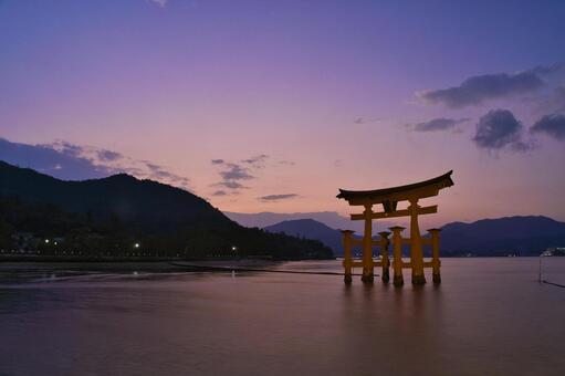 宮島：厳島神社・大鳥居・夕焼け 宮島,厳島神社,日本三景の写真素材
