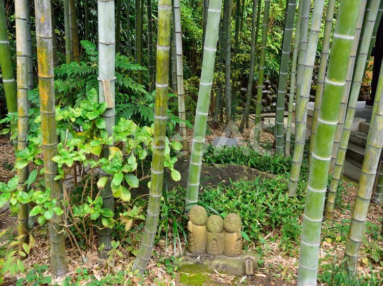 長谷寺　良縁地蔵 長谷寺,良縁地蔵,なごみ地蔵の写真素材