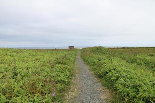 ヲンネモトチャシ1 ヲンネモトチャシ,チャシ跡,日本100名城の写真素材