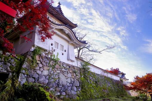 兵庫県豊岡市にある出石城 出石城跡,出石城,城跡の写真素材