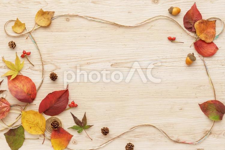 落ち葉と秋の実のフレーム 落ち葉,秋,紅葉の写真素材
